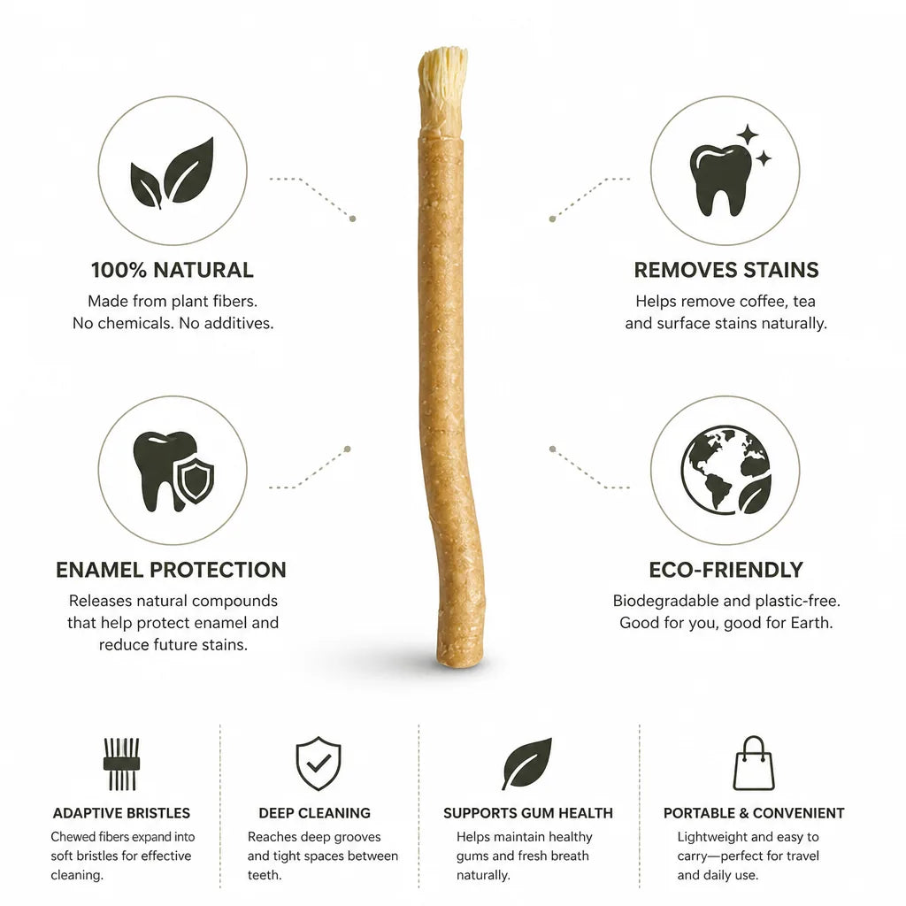 Miswak Toothbrush Sticks Plant Fiber Biodegradable Enamel Protection