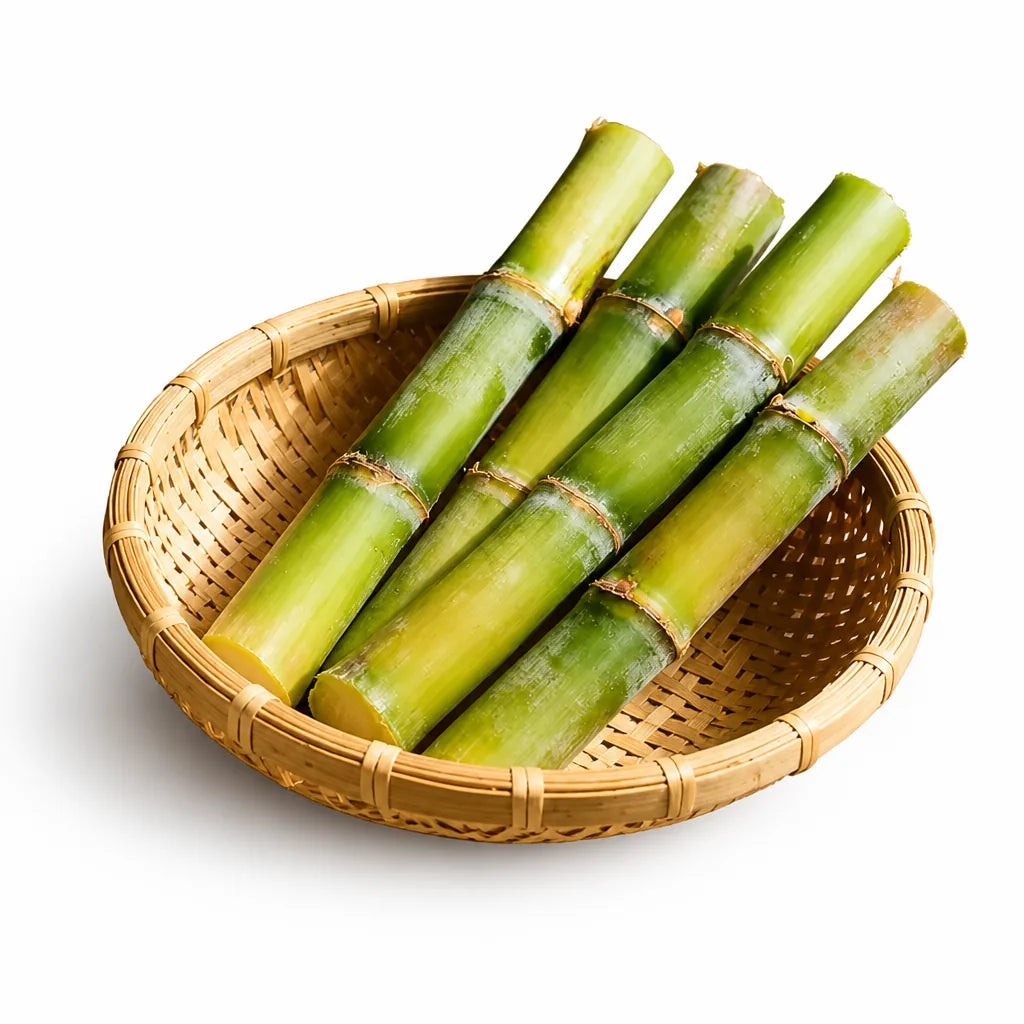 Sugarcane Seeds High Germination High Yield