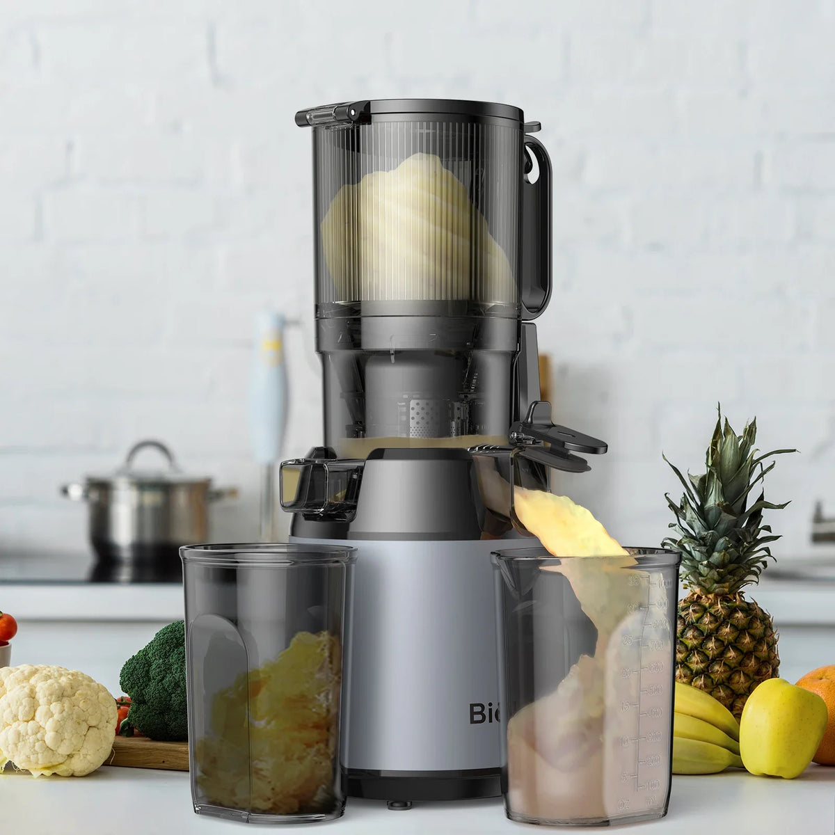 Cold-Press Juicer Slow Masticating 5.1 Inch Chute