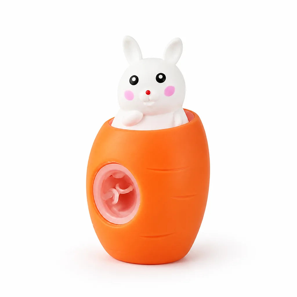 Fidget Toy Pop-Up Stress Relief 2-Pack