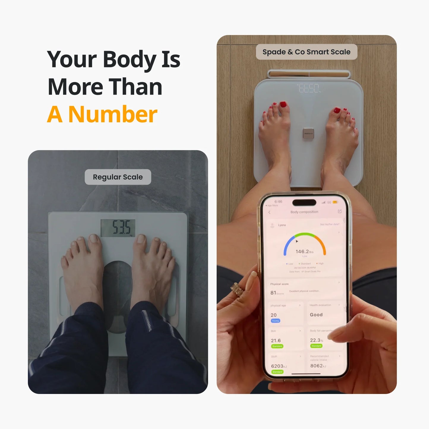 Smart Body Scale 8-Electrode Segmental Analysis