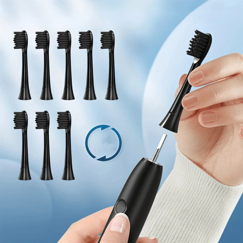Sonic Electric Toothbrush USB-C Rechargeable 8 Replacement Heads