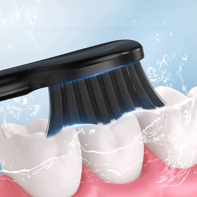 Sonic Electric Toothbrush USB-C Rechargeable 8 Replacement Heads